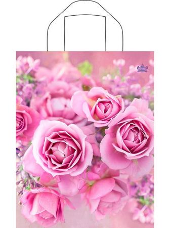 пакет петл.28х35 Нежные розы