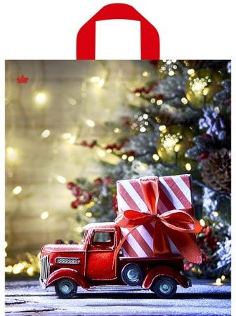 пакет петл. 42х38 Доставка чудес НГ ШК