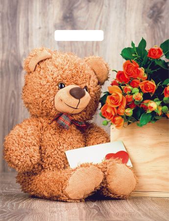 пакеты выр.31х40 Тедди